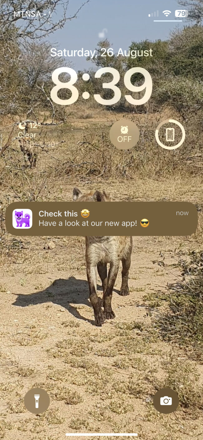 Notification